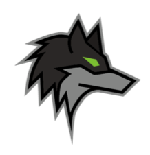 Darkwolfsolutions logo